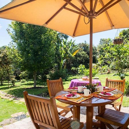 Отель Passadhi Ayurveda & Yoga Retreat Вилья-де-Лейва Экстерьер фото