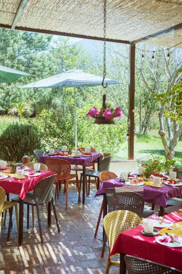 Отель Passadhi Ayurveda & Yoga Retreat Вилья-де-Лейва Экстерьер фото